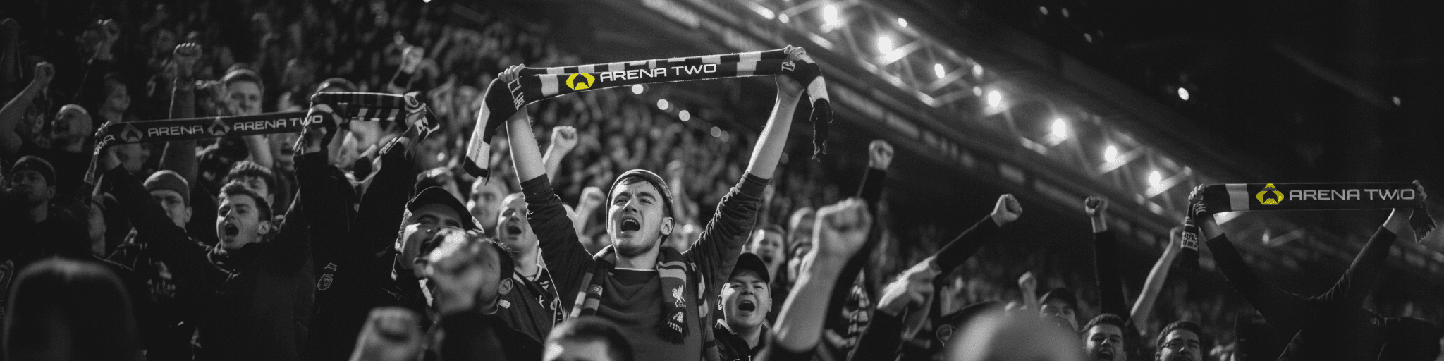 Crowd cheering with Arena Two scarves